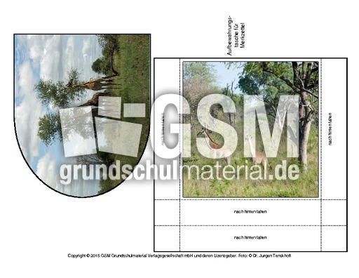 Giraffe-Merkzettel-2.pdf